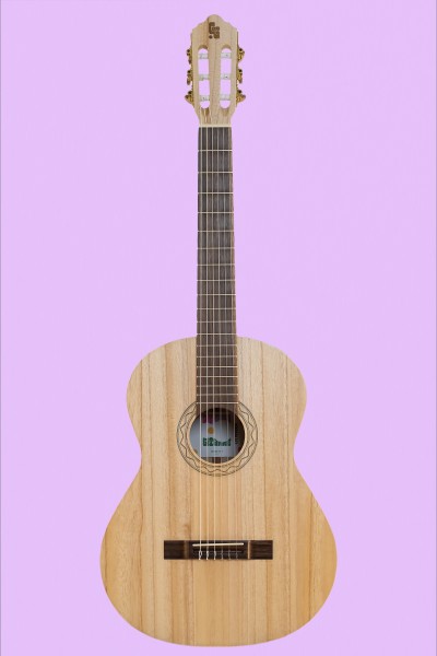Die Gute GItarre - die Gitarre aus Klimaholz