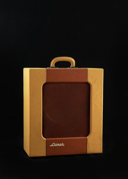 Stimer Amp m12