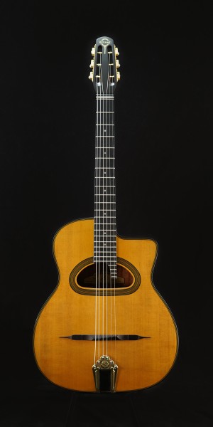 Saga Gitane D-500 incl. cool Bag