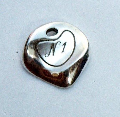 Le Niglo no1 - ergonomique pick- silver