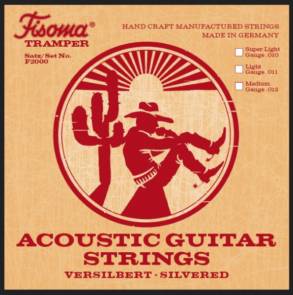 Fisoma Silverplated Acoustic Guitar