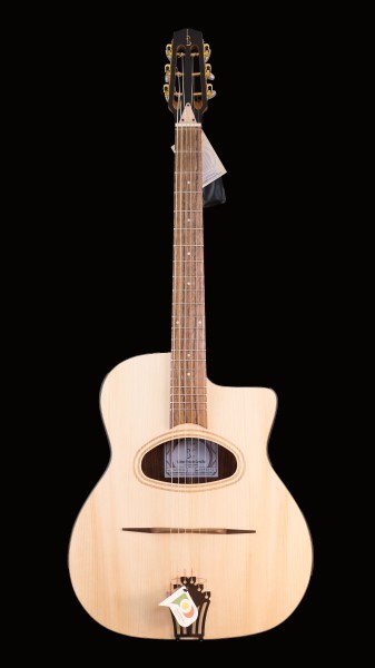 APC Gypsyguitar D-Hole JMD 200 PS