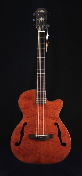 aria f-hole FET-2