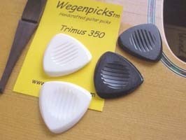 WEGEN Trimus 350